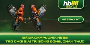 Đá gà campuchia HB88 - Trò chơi giải trí sống động, chân thực