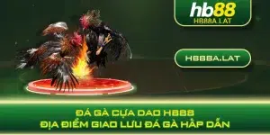 Đá gà cựa dao HB88 - Địa điểm giao lưu đá gà hấp dẫn