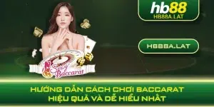 Hướng Dẫn Cách Chơi Baccarat Hiệu Quả Và Dễ Hiểu Nhất