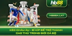 Kèo Châu u - Bí Kíp Để Trở Thành Cao Thủ Trong Giới Cá Độ