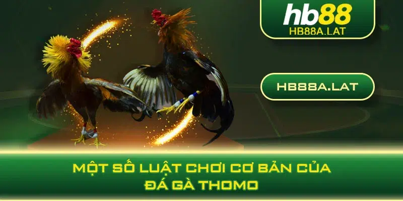 Một số luật chơi cơ bản của đá gà thomo