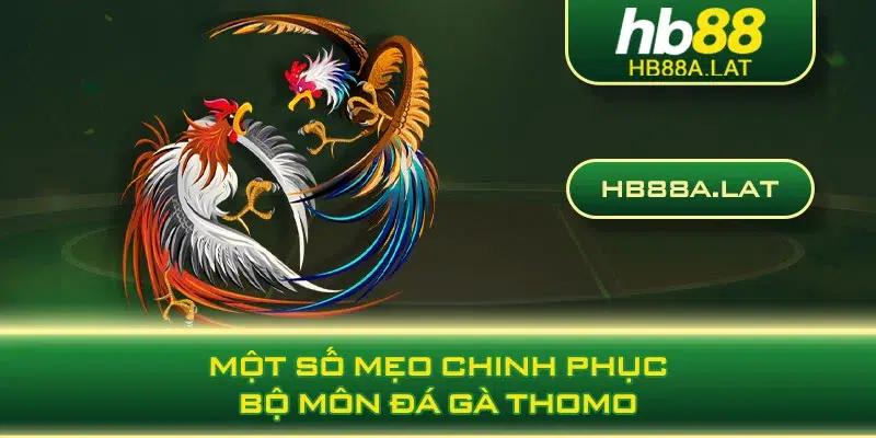 Một số mẹo chinh phục bộ môn đá gà thomo