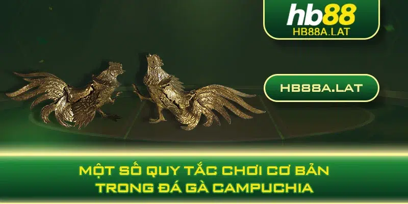 Một số quy tắc chơi cơ bản trong đá gà campuchia