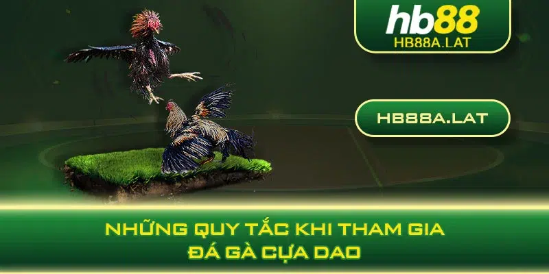 Những quy tắc khi tham gia đá gà cựa dao